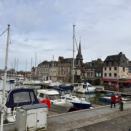 Large In Center Apartament