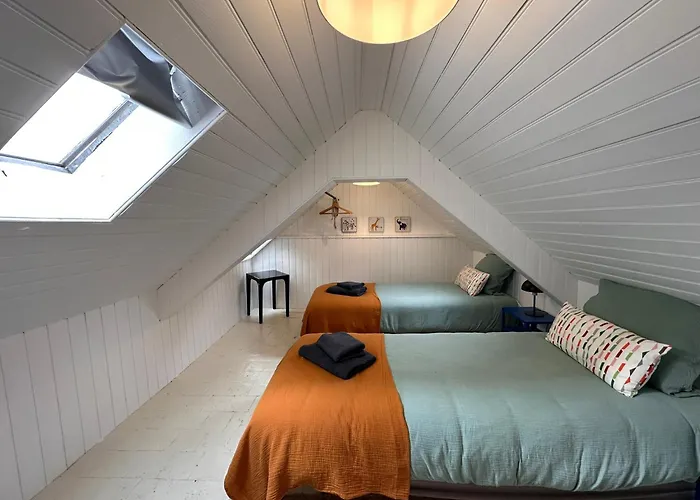 Appartamento Large In Center *