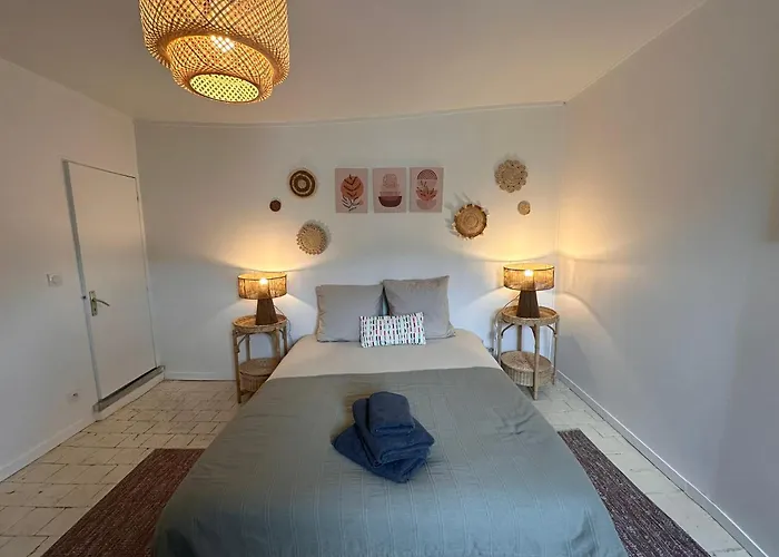 Appartamento Large In Center